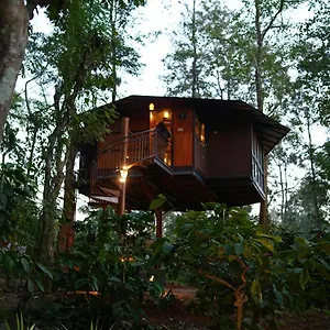Resort Pugmarks Jungle